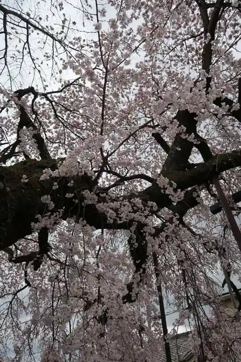 心念寺(三重県)