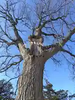厚別神社(北海道)