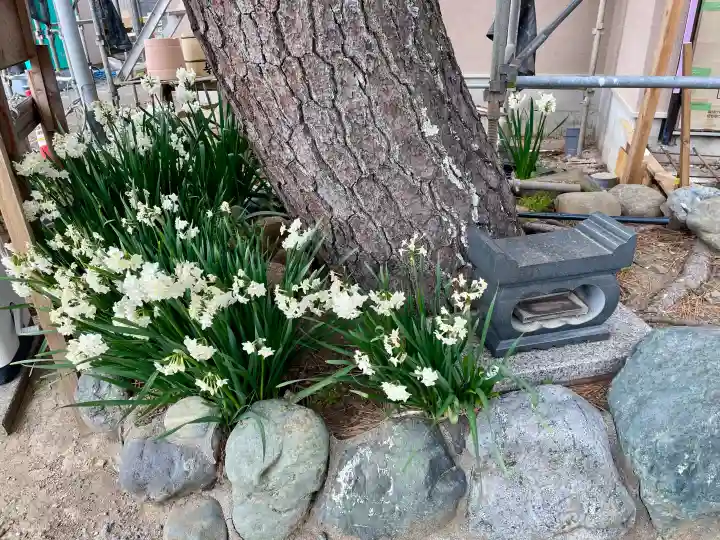 本成寺の{uncategorized: "未分類", other: "その他", undefined: "問題あり", building: "その他建物", grave: "お墓", sacred_gate: "鳥居", guardian: "狛犬", statue: "像", buddha: "仏像", history: "歴史", nature: "自然", garden: "庭園", animal: "動物", pagoda: "塔", temizu: "手水舎", mountain_gate: "山門・神門", sanctuary: "本殿・本堂", subordinate: "末社・摂社", art: "芸術", scenery: "景色", jizo: "地蔵", ema: "絵馬", goshuin: "御朱印", omikuji: "おみくじ", items: "授与品その他", amulet: "お守り", goshuincho: "御朱印帳", eats: "食事", festival: "お祭り", votive_dance: "神楽", shichigosan: "七五三参", wedding: "結婚式", experience: "体験その他", initially: "初詣", around: "周辺", anti_infection: "感染症対策"}