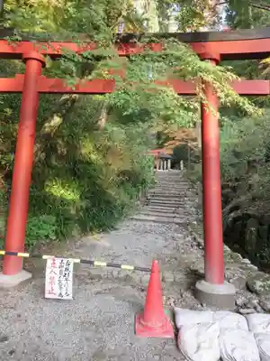岡寺（龍蓋寺）の鳥居