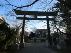 冨士御室浅間神社の鳥居