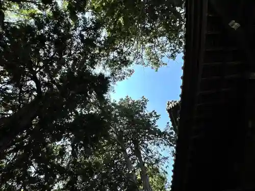 岩崎神社(長野県)