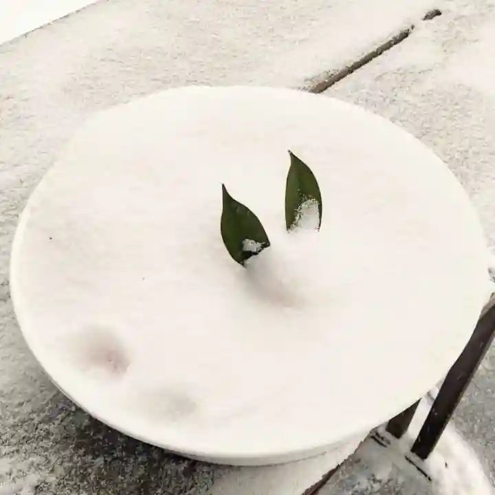 彌彦神社 (伊夜日子神社)の芸術