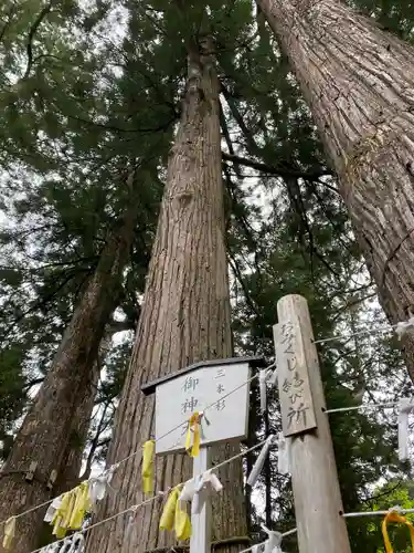 日光二荒山神社の自然