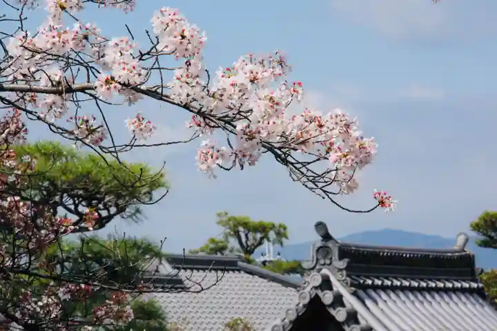 伏見稲荷大社(京都府)