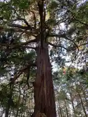 多田神社(兵庫県)