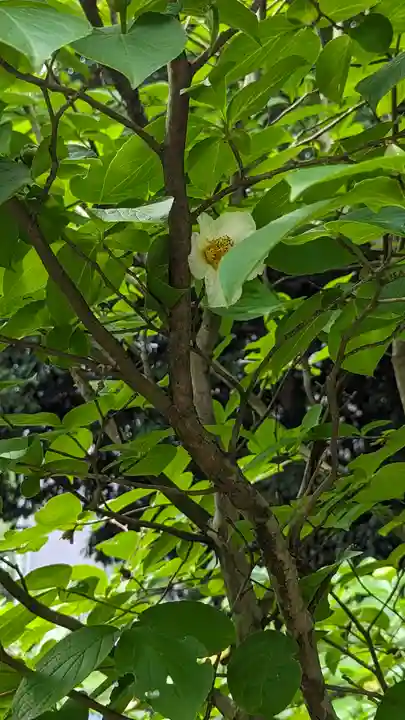 智積院(京都府)