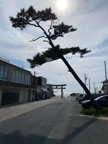 日御碕神社(島根県)