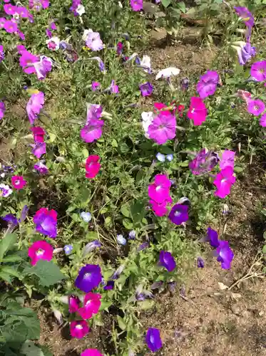 大鏑神社の自然