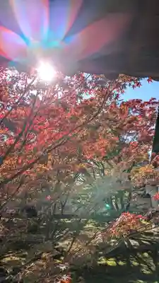 妙覺寺（妙覚寺）(京都府)