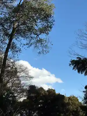 櫻木神社(千葉県)
