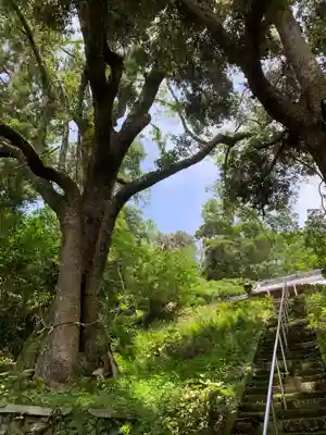 八幡神社のその他建物