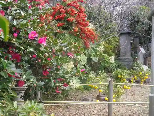 常栄寺の庭園