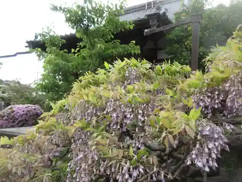 経王寺(東京都)