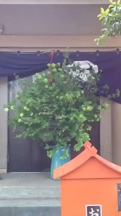 蛇窪神社(東京都)
