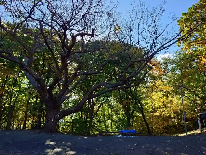 相馬神社(北海道)