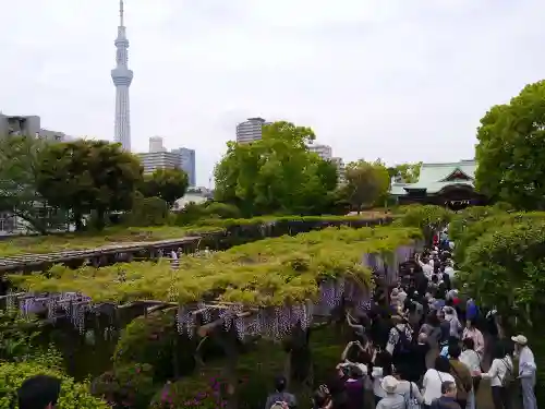 亀戸天神社の庭園