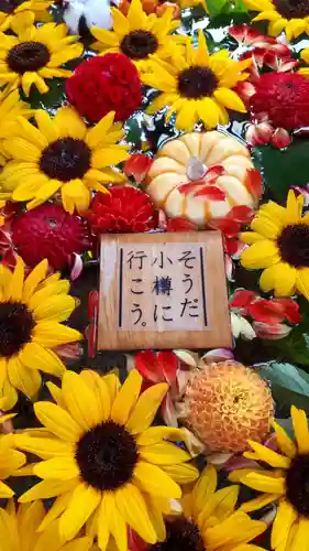 住吉神社の自然