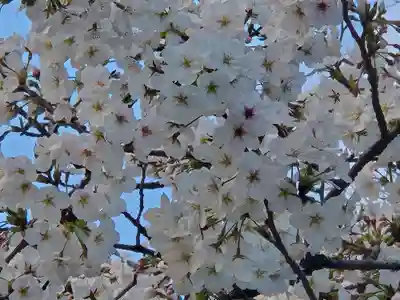 靖國神社(東京都)