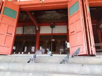 津観音の本殿・本堂