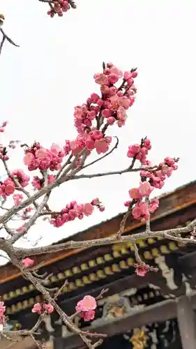 北野天満宮(京都府)