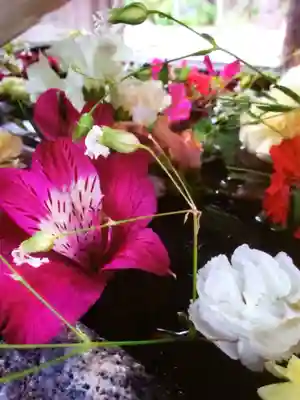 鳩森八幡神社(東京都)