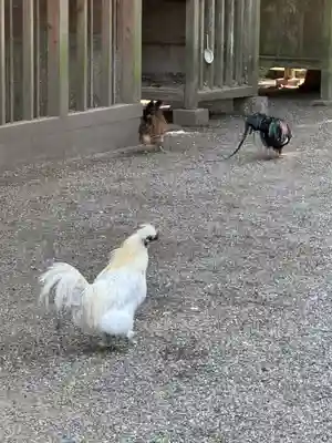 石上神宮(奈良県)