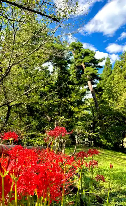 蚊里田八幡宮(長野県)