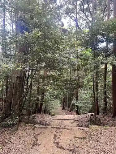 當麻山口神社の{uncategorized: "未分類", other: "その他", undefined: "問題あり", building: "その他建物", grave: "お墓", sacred_gate: "鳥居", guardian: "狛犬", statue: "像", buddha: "仏像", history: "歴史", nature: "自然", garden: "庭園", animal: "動物", pagoda: "塔", temizu: "手水舎", mountain_gate: "山門・神門", sanctuary: "本殿・本堂", subordinate: "末社・摂社", art: "芸術", scenery: "景色", jizo: "地蔵", ema: "絵馬", goshuin: "御朱印", omikuji: "おみくじ", items: "授与品その他", amulet: "お守り", goshuincho: "御朱印帳", eats: "食事", festival: "お祭り", votive_dance: "神楽", shichigosan: "七五三参", wedding: "結婚式", experience: "体験その他", initially: "初詣", around: "周辺", anti_infection: "感染症対策"}