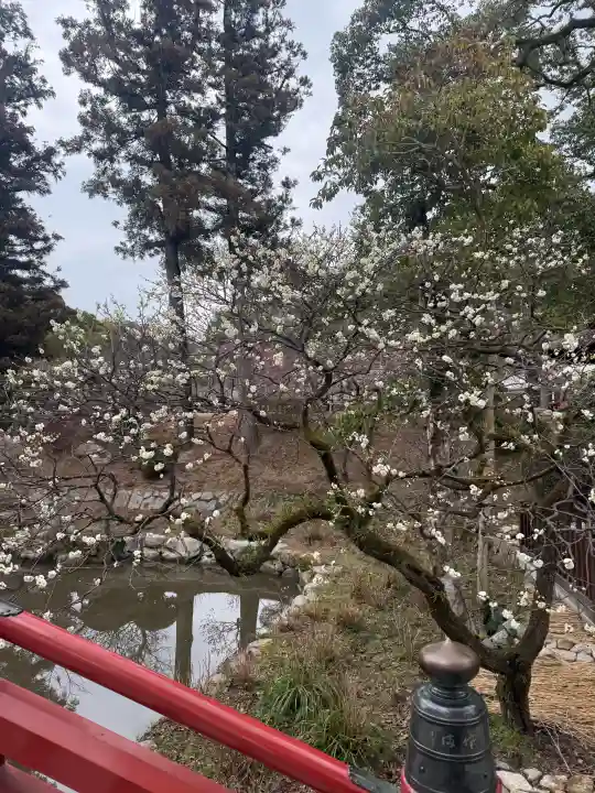 太宰府天満宮の{uncategorized: "未分類", other: "その他", undefined: "問題あり", building: "その他建物", grave: "お墓", sacred_gate: "鳥居", guardian: "狛犬", statue: "像", buddha: "仏像", history: "歴史", nature: "自然", garden: "庭園", animal: "動物", pagoda: "塔", temizu: "手水舎", mountain_gate: "山門・神門", sanctuary: "本殿・本堂", subordinate: "末社・摂社", art: "芸術", scenery: "景色", jizo: "地蔵", ema: "絵馬", goshuin: "御朱印", omikuji: "おみくじ", items: "授与品その他", amulet: "お守り", goshuincho: "御朱印帳", eats: "食事", festival: "お祭り", votive_dance: "神楽", shichigosan: "七五三参", wedding: "結婚式", experience: "体験その他", initially: "初詣", around: "周辺", anti_infection: "感染症対策"}