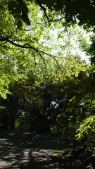 相馬神社(北海道)