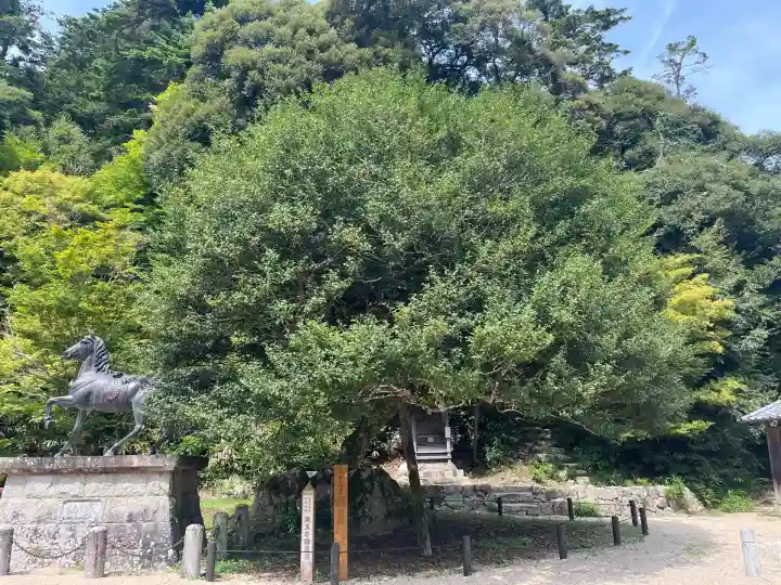 山王宮日吉神社(京都府)