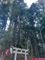 大宮温泉神社の鳥居