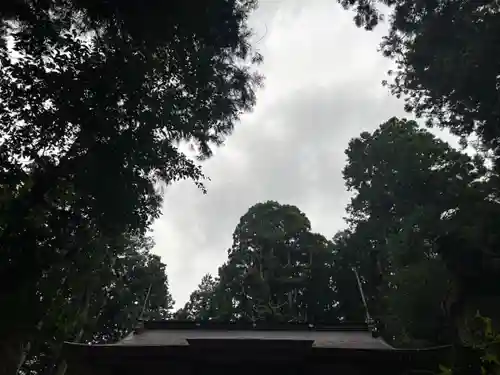 大宮温泉神社(栃木県)