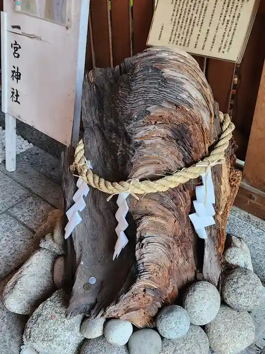 一宮神社の自然