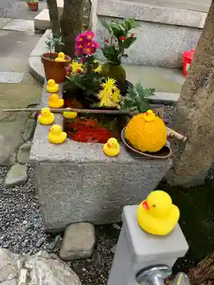 元祇園梛神社・隼神社の手水舎