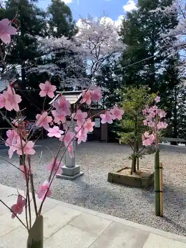 滑川神社 - 仕事と子どもの守り神のおみくじ