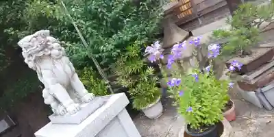 羽束師坐高御産日神社(京都府)