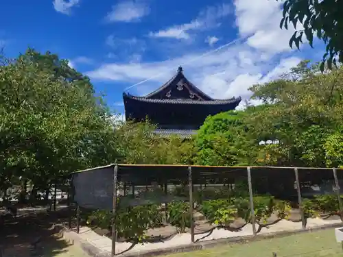 東寺（教王護国寺）(京都府)