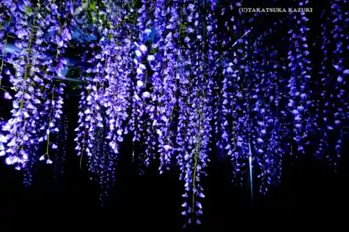 白旗神社(神奈川県)
