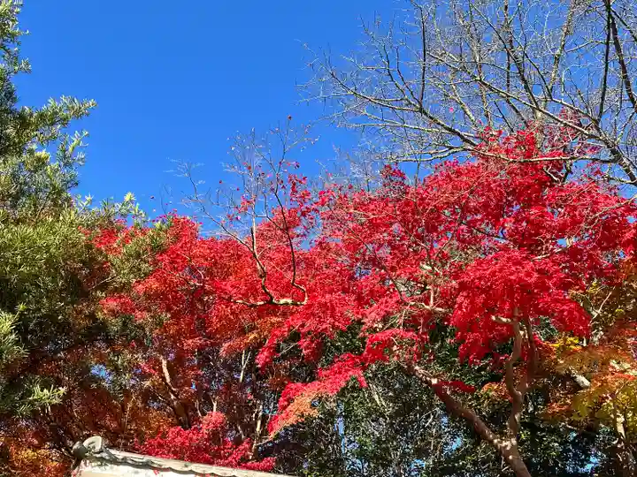 弘川寺(大阪府)