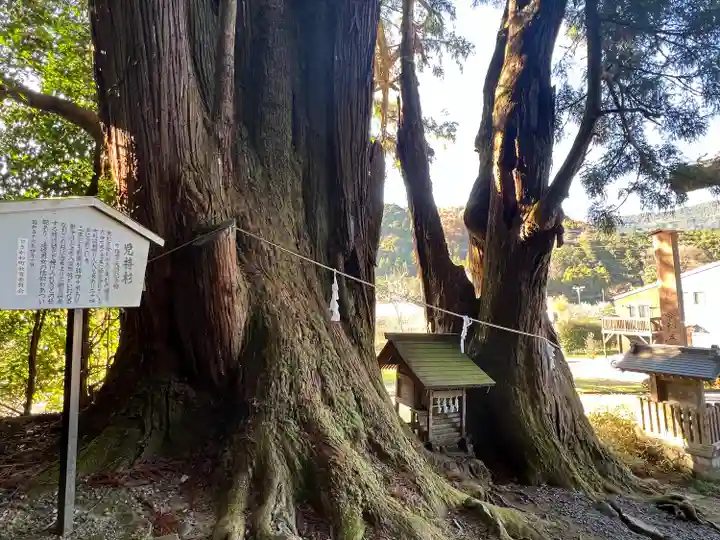 萩日吉神社(埼玉県)