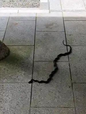 日奈久阿蘇神社(熊本県)