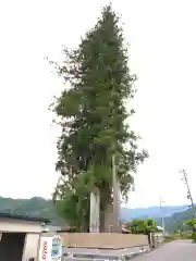 津島神社(長野県)