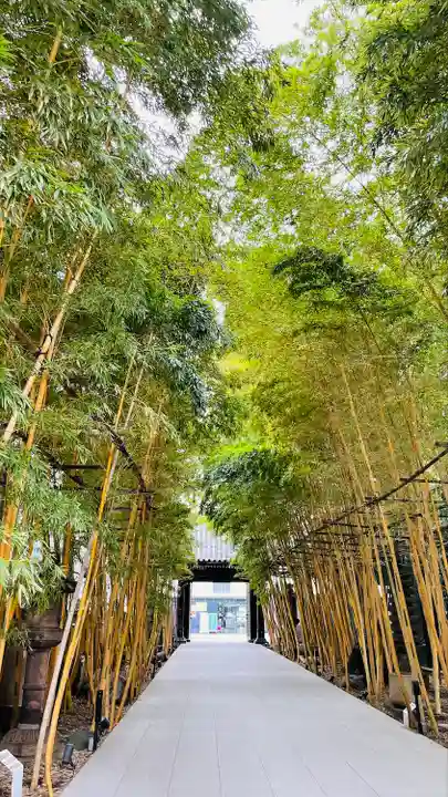 梅窓院の山門・神門