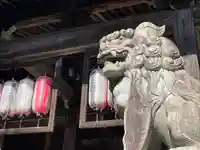 金蔵寺の狛犬