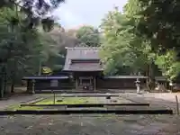 若狭彦神社(上社)の本殿・本堂