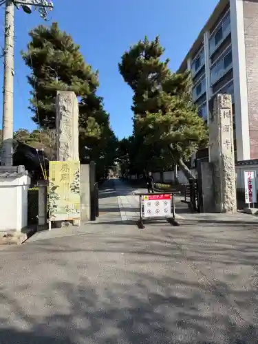 相国寺（相国承天禅寺）の{uncategorized: "未分類", other: "その他", undefined: "問題あり", building: "その他建物", grave: "お墓", sacred_gate: "鳥居", guardian: "狛犬", statue: "像", buddha: "仏像", history: "歴史", nature: "自然", garden: "庭園", animal: "動物", pagoda: "塔", temizu: "手水舎", mountain_gate: "山門・神門", sanctuary: "本殿・本堂", subordinate: "末社・摂社", art: "芸術", scenery: "景色", jizo: "地蔵", ema: "絵馬", goshuin: "御朱印", omikuji: "おみくじ", items: "授与品その他", amulet: "お守り", goshuincho: "御朱印帳", eats: "食事", festival: "お祭り", votive_dance: "神楽", shichigosan: "七五三参", wedding: "結婚式", experience: "体験その他", initially: "初詣", around: "周辺", anti_infection: "感染症対策"}