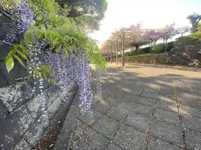 下之坊(静岡県)