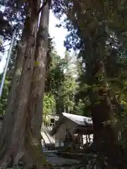 白山中居神社(岐阜県)